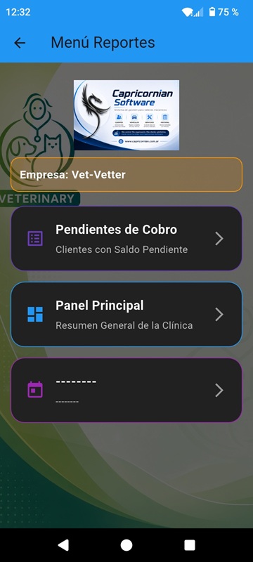 Menu Reportes