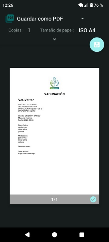 Informe PDF