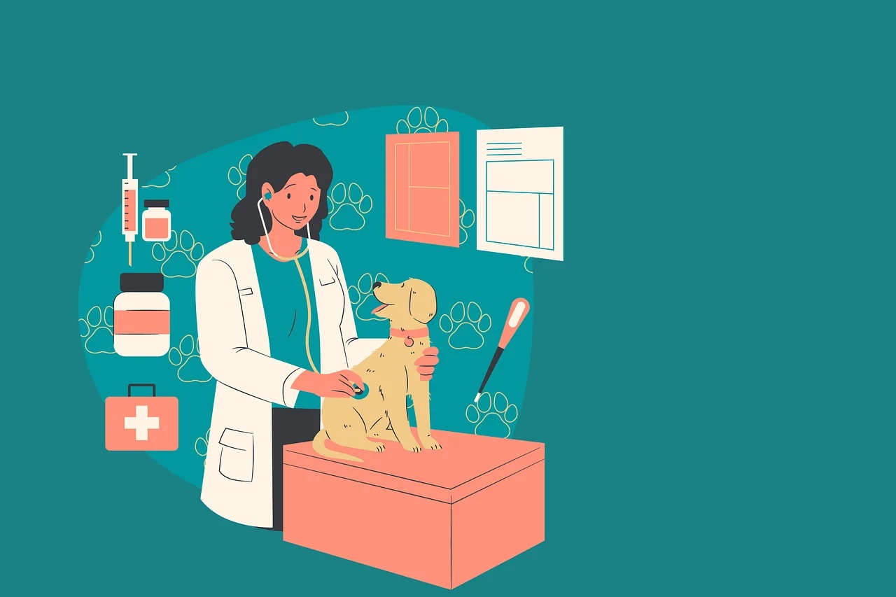Veterinaria 1